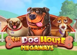 2bestsoftpace: The Dog House Megaways